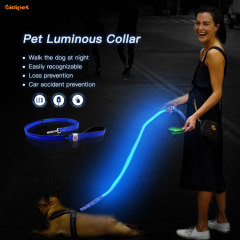 AIDI Solid Color Glow In the Dark Dog Leash Red Vlue Green Light Up Dog Collar Leash Lead